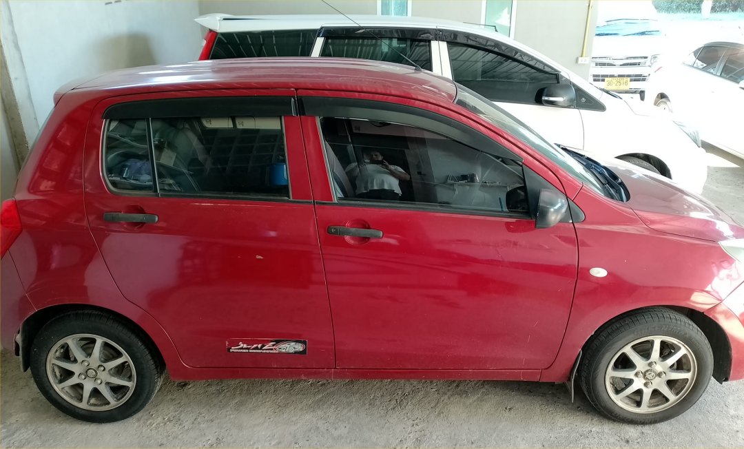 rental_cars